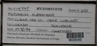 Image Associated With the Occurence